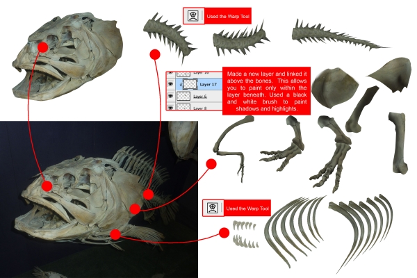 Creation of T-Nemo: Step 2